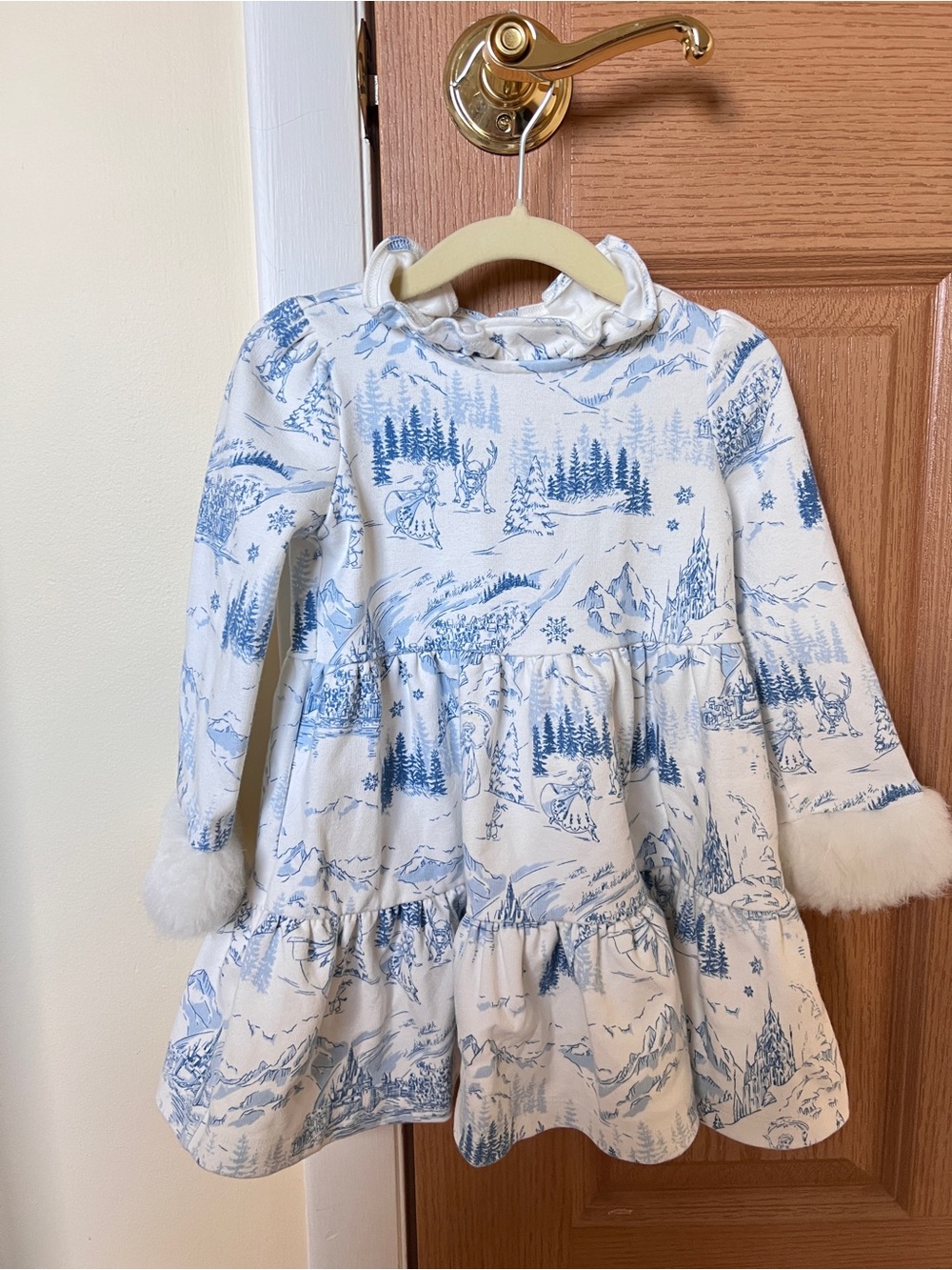 Janie & Jack Frozen Dress with Faux Fur Cuffs